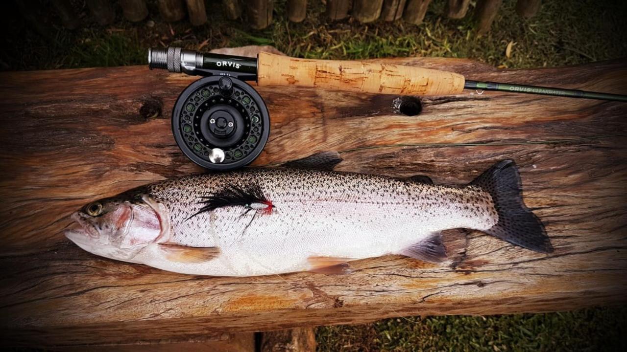 Copperleigh Trout Cottages Dargle Eksteriør billede
