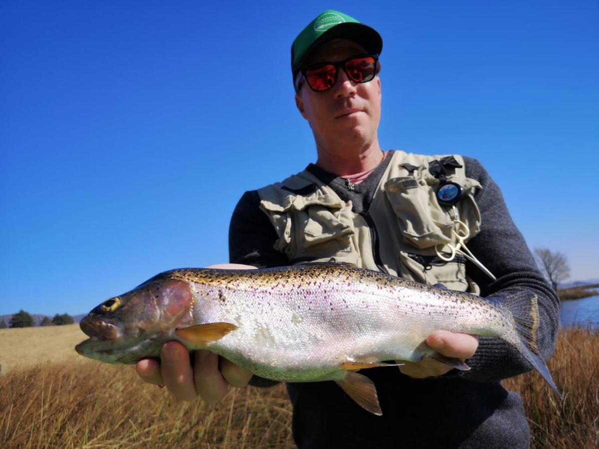 Copperleigh Trout Cottages Dargle Eksteriør billede