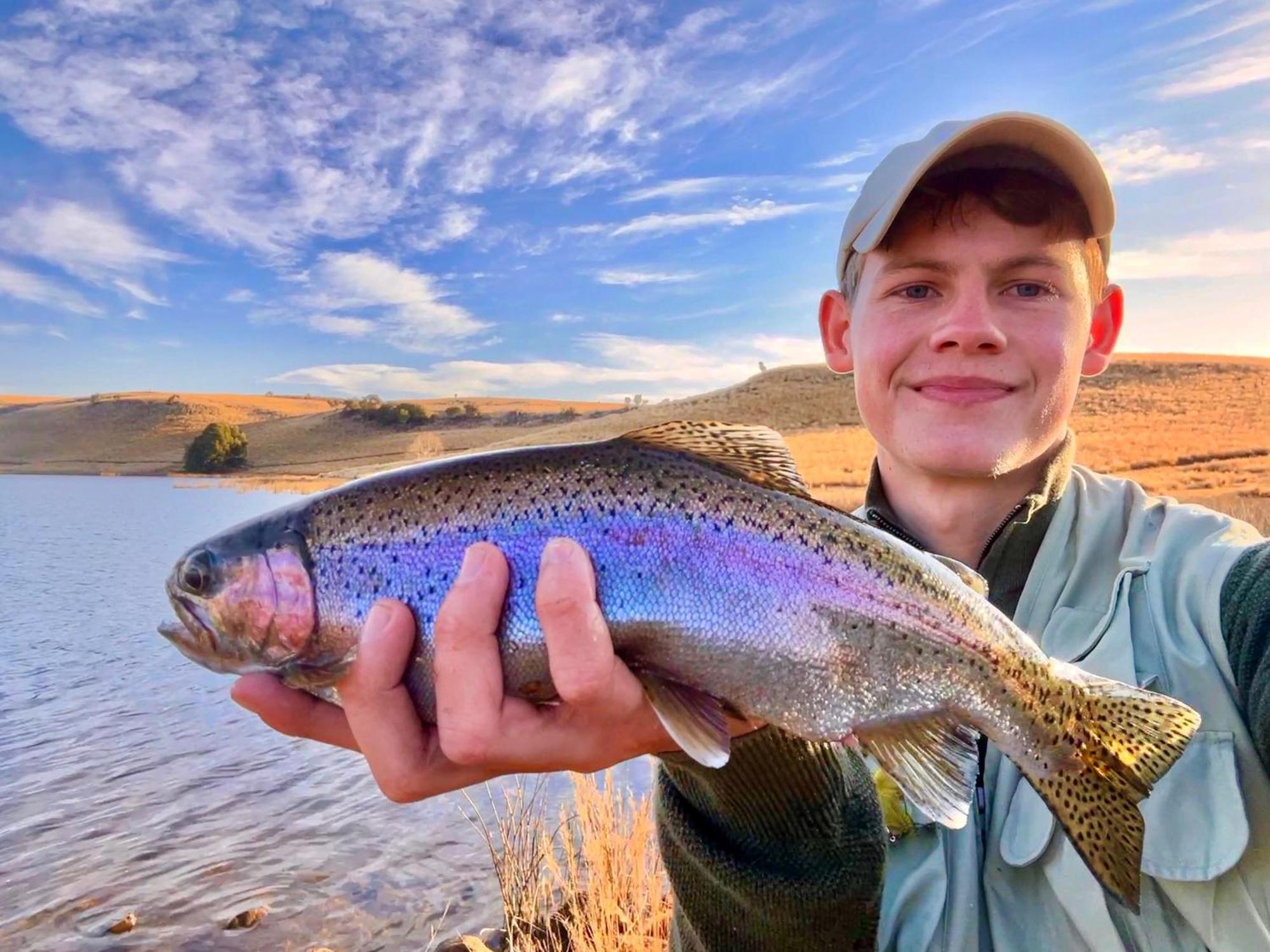 Copperleigh Trout Cottages Dargle Eksteriør billede